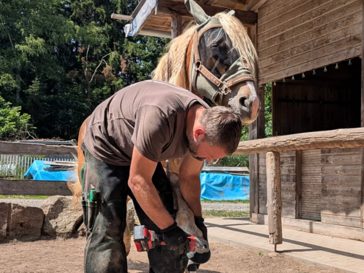 Arbeit mit der Flex